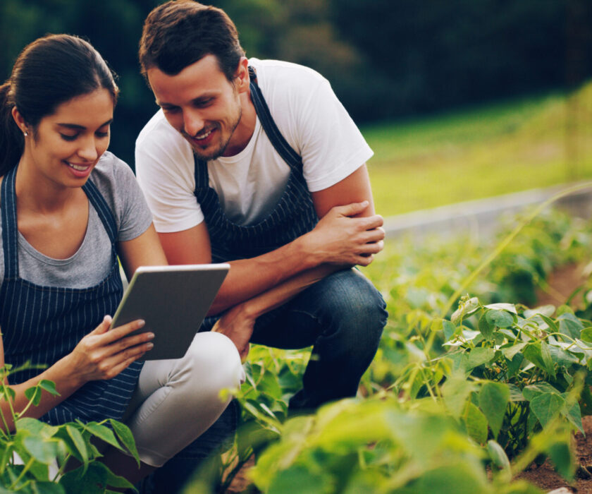 teamwork-farmer-people-with-tablet-typing-internet-with-quality-control-nature-man-employees-with-plants-woman-inspection-agriculture-sustainability-harvest-with-growth